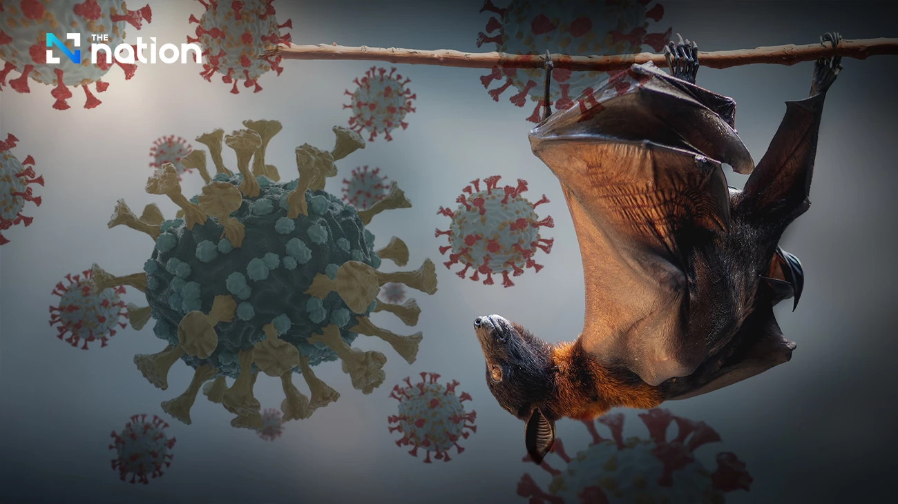 nipah virus outbreak 2026